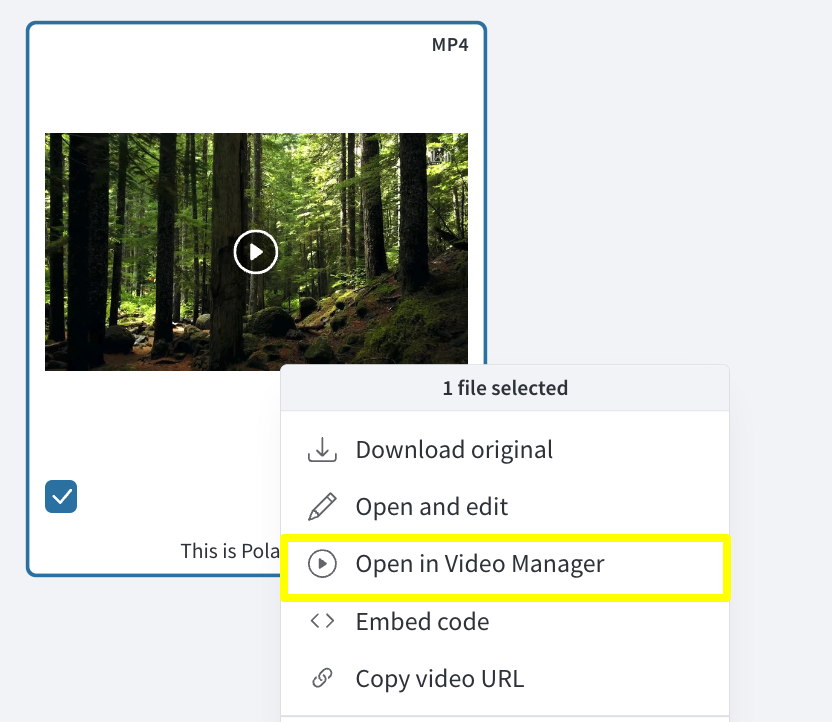 Open in VM.png