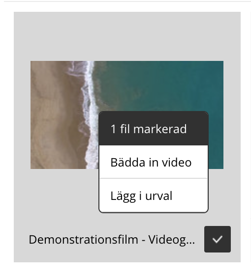 Bädda in video.png