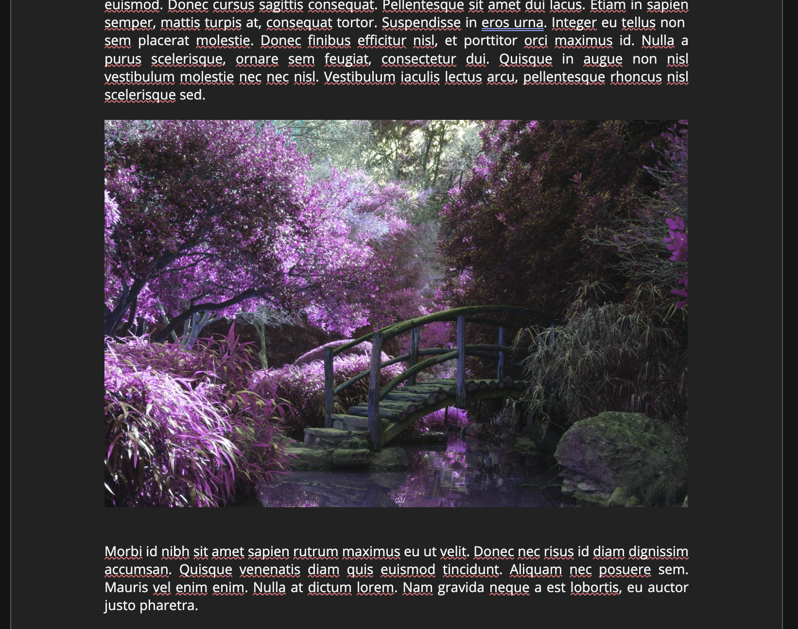 image(232).png