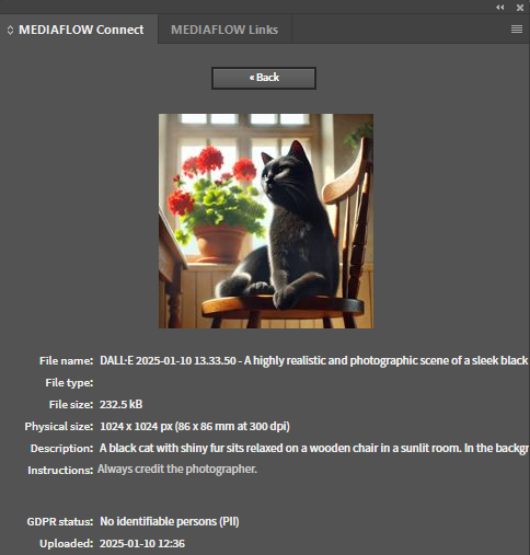 image(362).png
