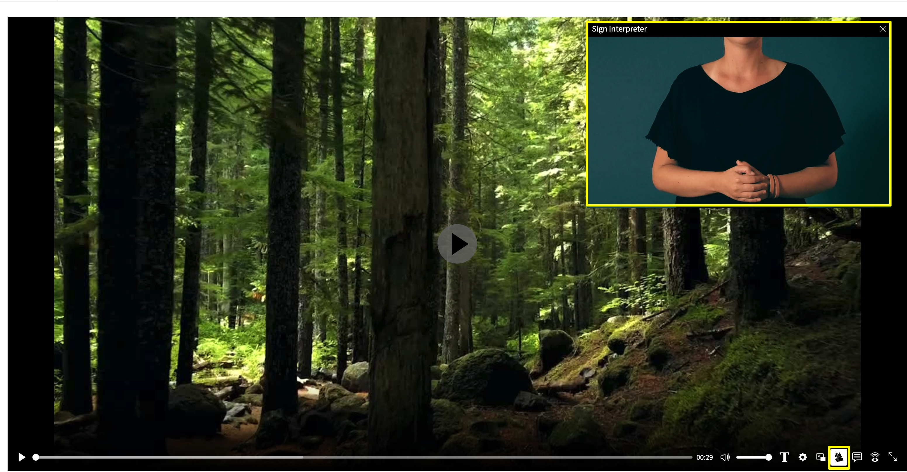 teckenspråkstolk(1).png