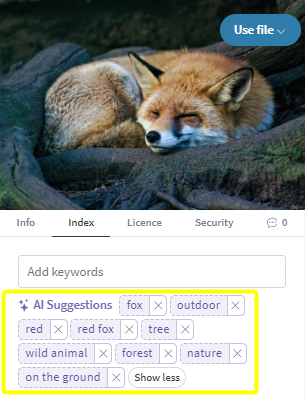 image-1707226779813.png
