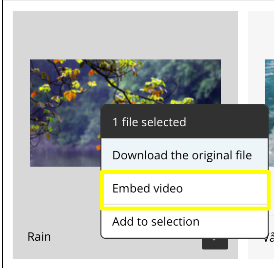 Embed code .png