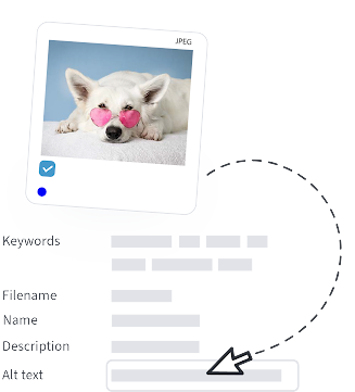 unnamed(2).png