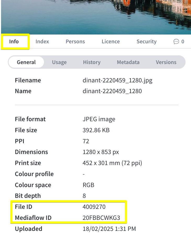 sök på Mediaflow ID.png