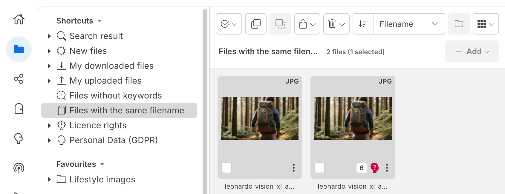 filer med samma filnamn.png