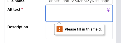 opti-alt-text-required.png