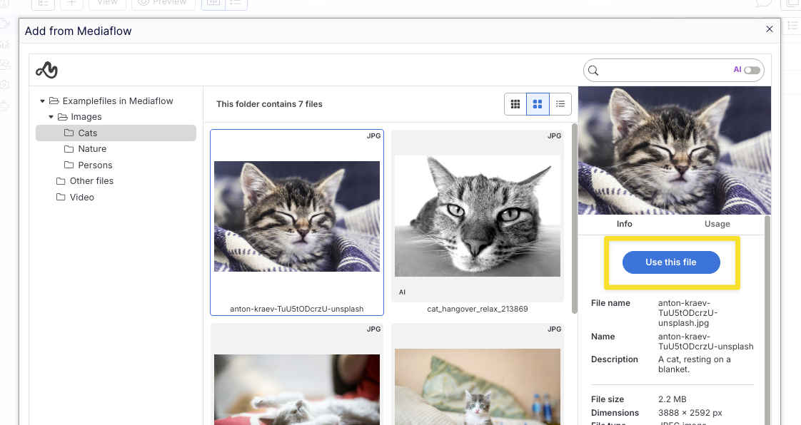 opti-fileselector-usethisfile.png