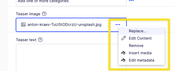 opti-inserted-media-options.png