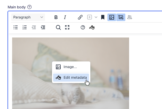 opti-richtext-edit-metadata.png